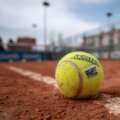 Règles essentielles du tennis : guide débutant